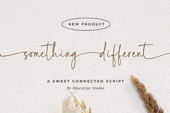 Something Different: Elevating Design with Elegant Typography